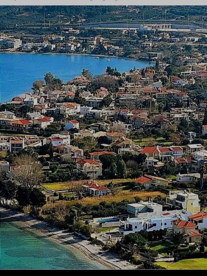 Holiday And Business Home Άγιος Βασίλειος Εξωτερικό φωτογραφία